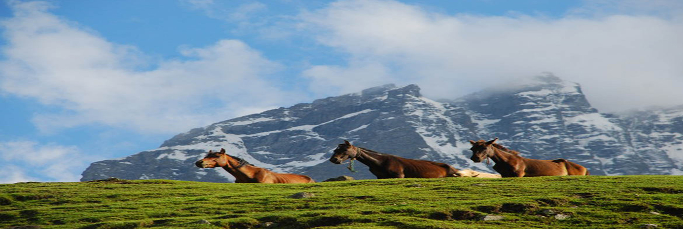 KASHMIR WITH GOLDEN TRIANGLE